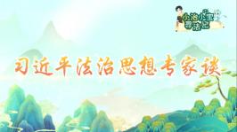 习近平法治思想专家谈...