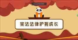 宪法法律护我成长