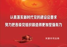 认真落实新时代党的建设总要求
