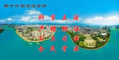 新十六字法治方针