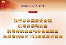 2021年全民国家安全教育日宣传挂图